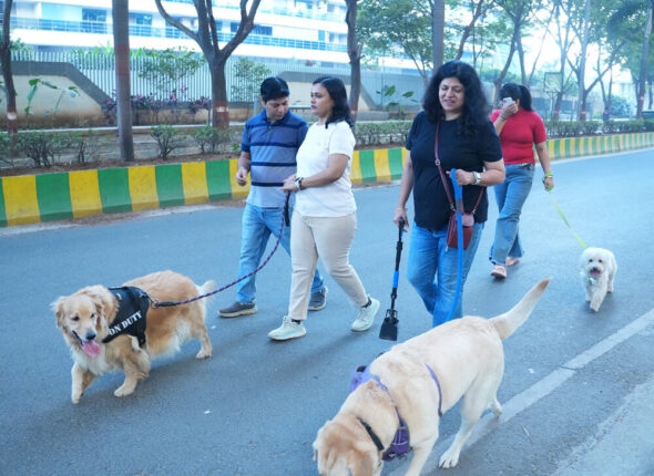 pet-family-1