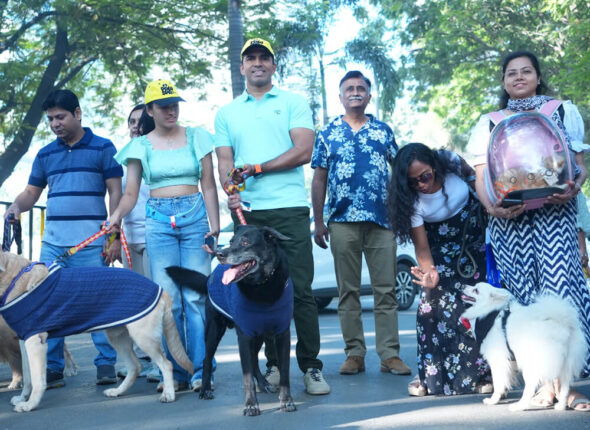 pet-family